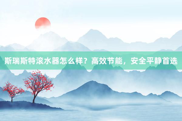 斯瑞斯特滚水器怎么样？高效节能，安全平静首选