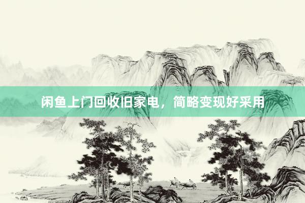 闲鱼上门回收旧家电，简略变现好采用