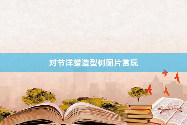 对节洋蜡造型树图片赏玩