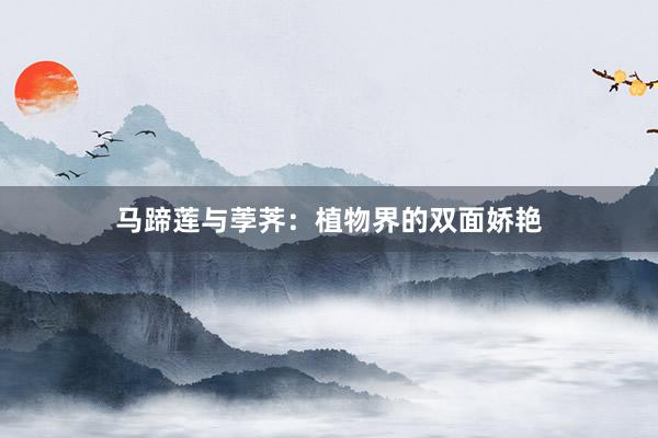 马蹄莲与荸荠：植物界的双面娇艳