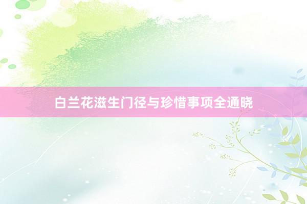 白兰花滋生门径与珍惜事项全通晓