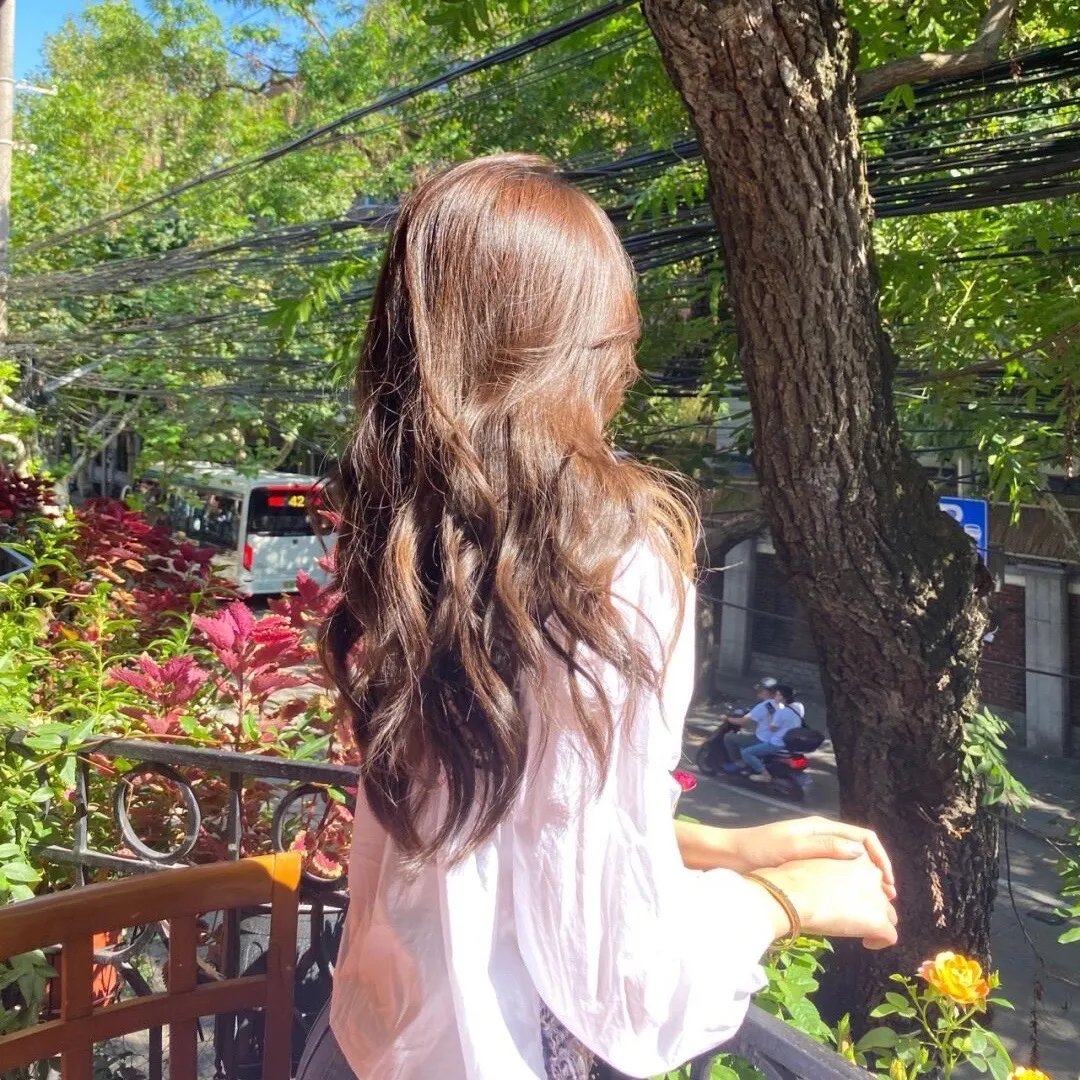 莫妮卡·赛德隆